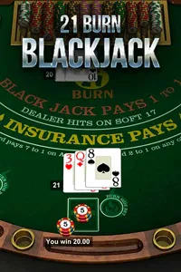 Highway Casino 21 Burn Blackjack